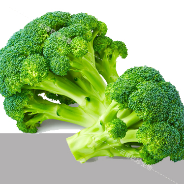 Jiuzhen broccoli planting base in Yunnan